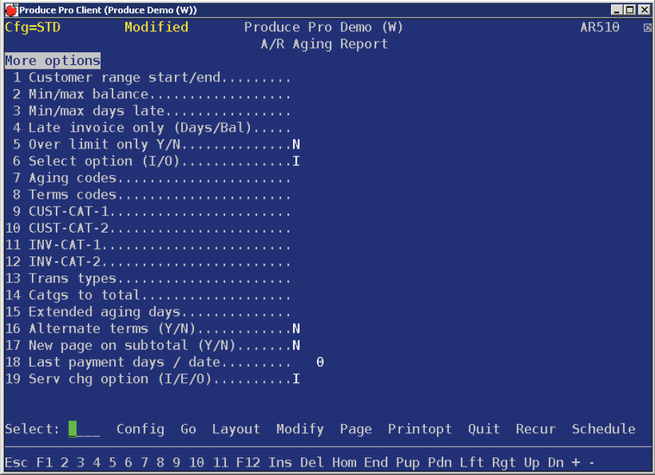 Customer Rang 2 Customer range start/end — You can use these fields to focus the report ...