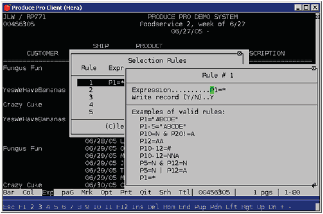 Repro Syntax Expression — Type the rule. Write record — This field tells the system ...