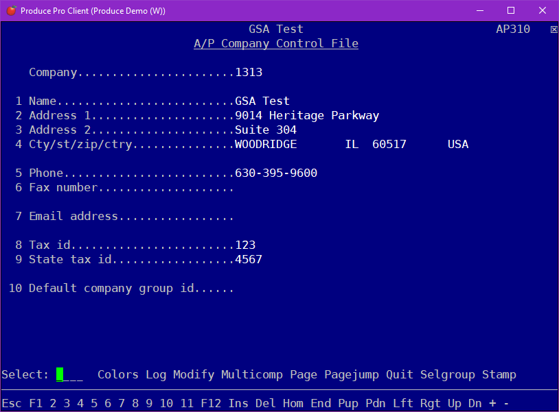 Adp Master Control File Name — Enter the A/P company name. This will be used on A/P documents ...