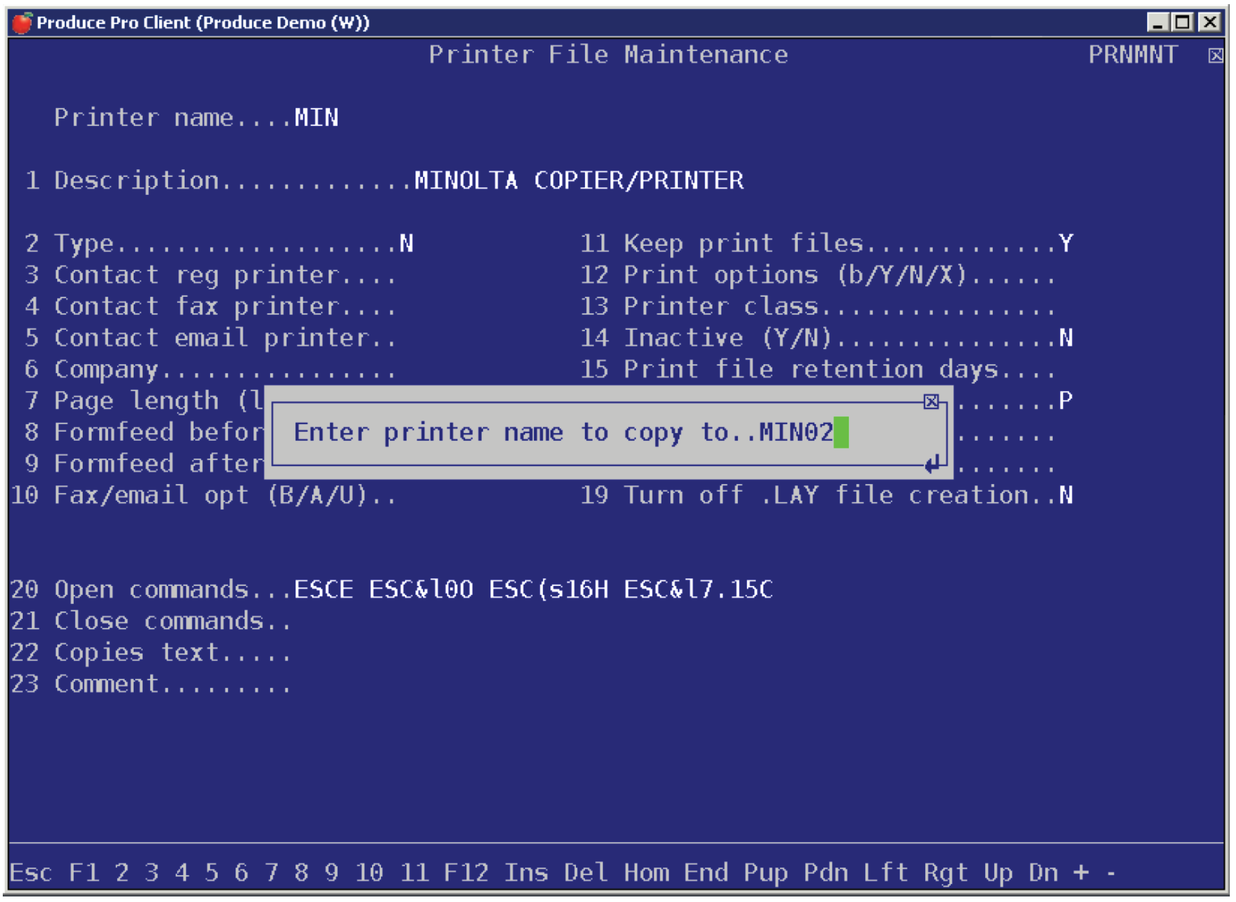 Printer Definition Language File Type the new name and press Enter.